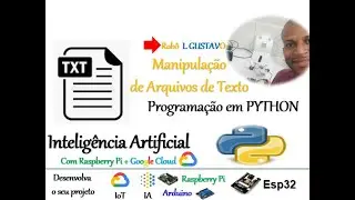 Importância da Manipulação de Arquivos de Texto na programação com Python no Robô L GUSTAVO