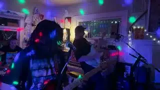puppy feet - full set live (3/16/24 tacoma)