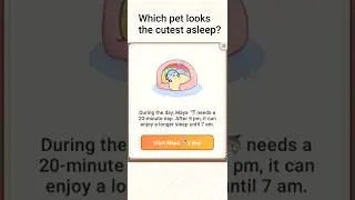 Which pet looks the cutest asleep? #widgetable #sharkie #guinguin #squirrie #foxxie #fyp