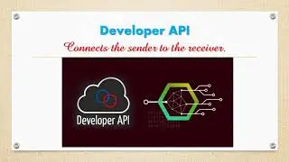 Developer API