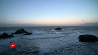 Видео с подпиской