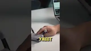 ИНТЕРЕСНЫЙ МИР |  «кунг-фу робочерепашка» 