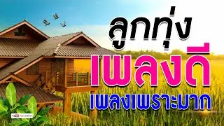 ลูกทุ่ง เพลงดี + เพลงเพราะมาก   #รวมเพลงลูกทุ่งฟังเพราะ