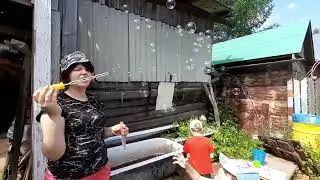 На даче 🌺 1 июля 2024 г. Посадила георгины и безвременник