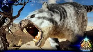 The Arena Parkour Challenge & Finally Taming a Thyla! - Ark Scorched Earth Ascended - Episode 22