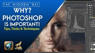 Why Photoshop is Important? | Proficiency in Photoshop
