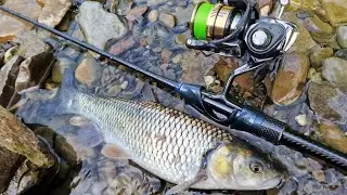 За летним голавлем с Crazy Fish Alpha 662XULS🎣 Резина против воблеров