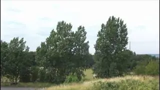 Police Controlled Detonation