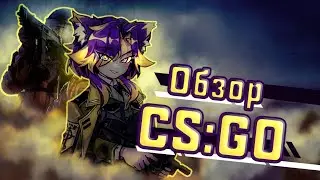 CS:GO в 2022 - игра изменилась? 