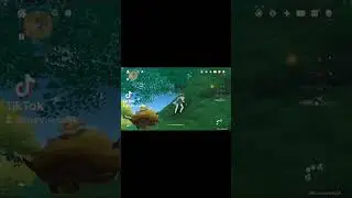 You win this time mushroom boar 