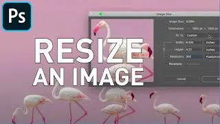 How to resize an image in Photoshop