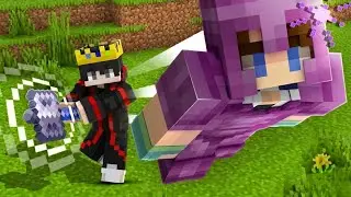 I Took Over This SMP SOLO… 😈