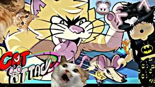 Mas dnv com Isso??! |cat attack🐈🐀👊🏻|