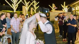 Vladimir&Daria. Wedding Clip