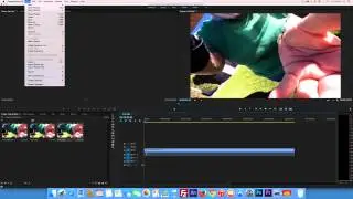 Alpha Channel for Video Premiere Pro