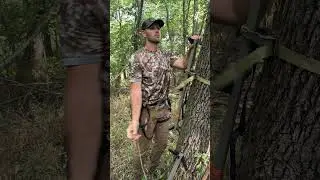 Getting ready to chase big bucks in Illinois! #hunting #huntingseason #deer #bowhunt