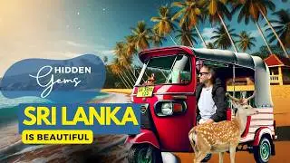 Hidden Gems of Sri Lanka: Anuradhapura's Secrets, Jaffna's Festival, Trincomalee's Beaches