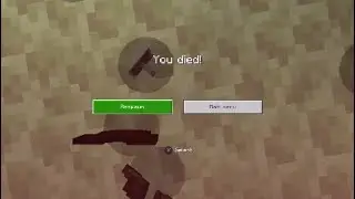 Beating The Ender Dragon With Every Armor (GONE WRONG)!!!