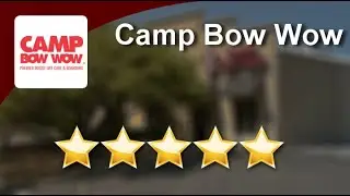 Camp Bow Wow San AntonioGreatFive Star Review by Samantha G.