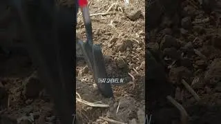 Here's an important crop scouting tool.