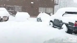 Heavy SnowFall Featureme | Natural Beauty | Nature Status