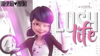 Miraculous Ladybug AMV - Lush Life (Zara Larsson)