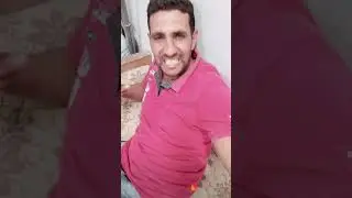 نكته بايخه