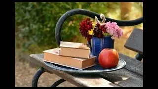 Обзор книг «На досуге летним днём в руки книгу мы берём»