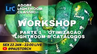 Workshop Adobe Lightroom Classic - Parte 01 - Otimização Lightroom & Catálogos