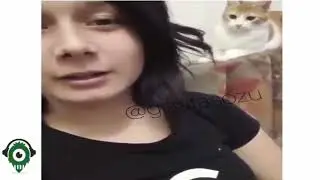 did you be frightened? Cat