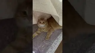 Драсти!!!