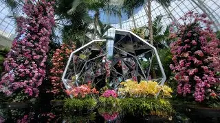 NEW YORK BOTANICAL GARDENS