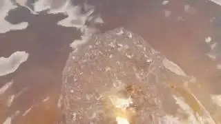 Йодовое озеро 30.06.2020