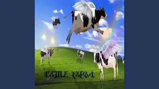 cattle farm
