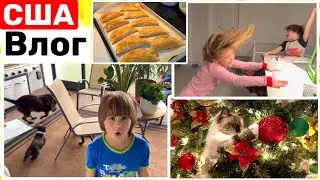 США Влог Крейзи утро и Крейзи дети Кто эти женщины? Новогодний вайб Big big family in the USA VLOG