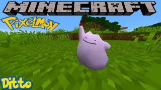 HOW TO FIND DITTO IN PIXELMON REFORGED - MINECRAFT GUIDE