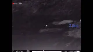 21 октября 2023 г.