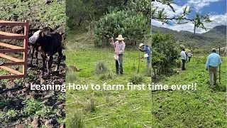 First Time Farming In Mexico: Planting Corn On The Ranch, Day 1 Tutorial/ Learning New Skill!