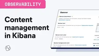 The art of organizing - content management in Kibana