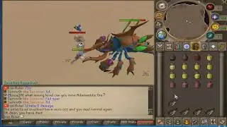 Runescape Private Server 2019 - Top Servers In Rsps History