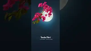 Aayegi Yaad Tumhe Meri 4K+Full Screen Status #viralreels #viralpost #viralinstagram#viralvideo