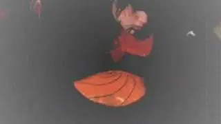 Are we friends yet? - Deidara and Tobi