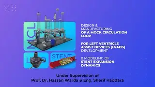 Graduation Project 2021 (Alexandria University) - Biomedical Engineering