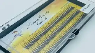 NesuraBeauty Swallowtail 20D 12mm 1H