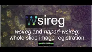 wsireg and napari-wsireg workshop for i2k conference