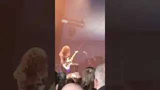 Tailgunner Solo Bloodstock 2024