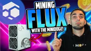 Crypto Mining FLUX with the Mini Dogecoin Miner!