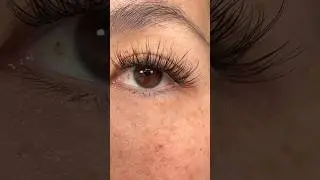 Natural DIY Lash Series - Day 2 - N4 DIY Lash Ribbons