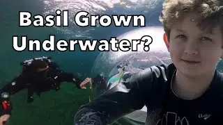 13 year old boy talks about his incredibly special plant grown in the only freshwater biosphere