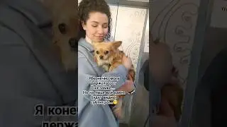 Говорящие глаза👀Talking eyes
